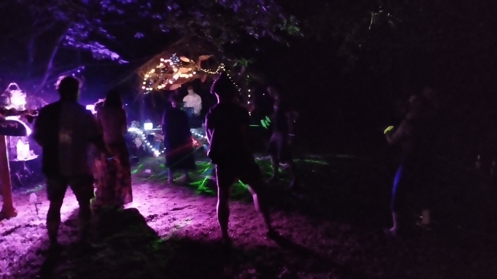 Forest Floor - publiczność